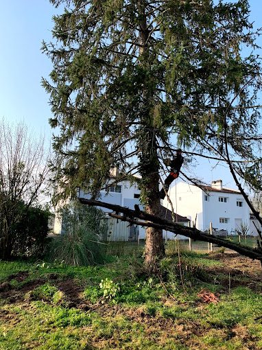 Bordures nettes après passage au rotofil