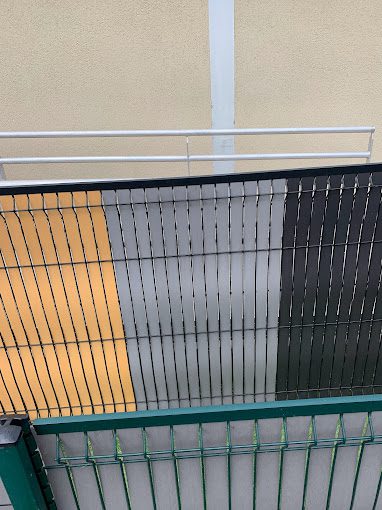 Taille de haie en été