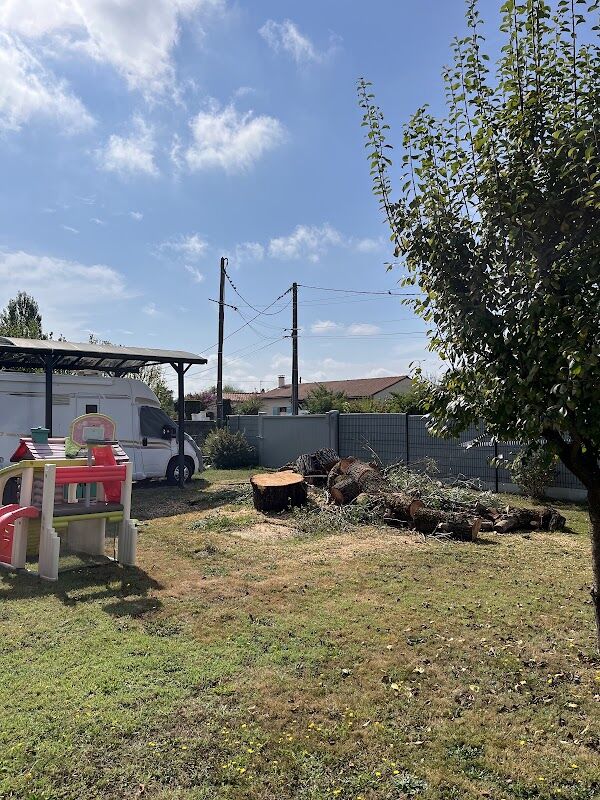 Abattage d'arbre par démontage