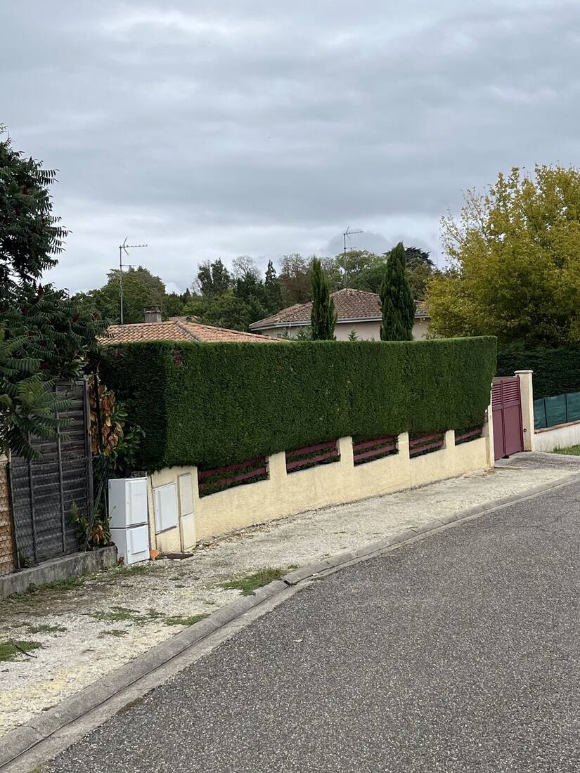 Taille d'un rang d'arbustes