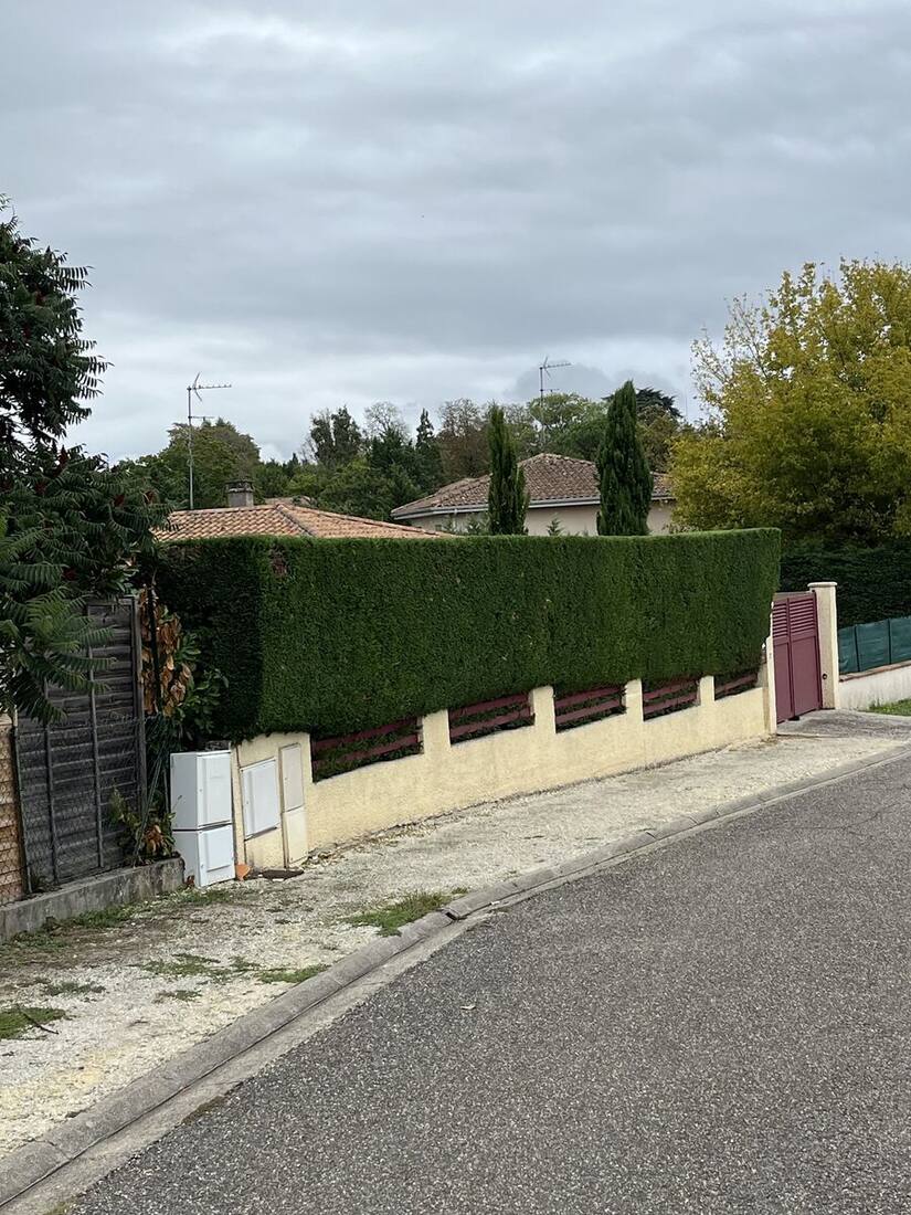 Intervention paysagère — fiche Google