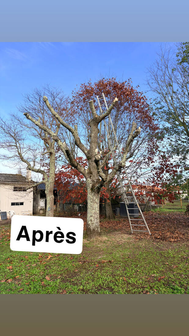 Chantier récent — fiche Google