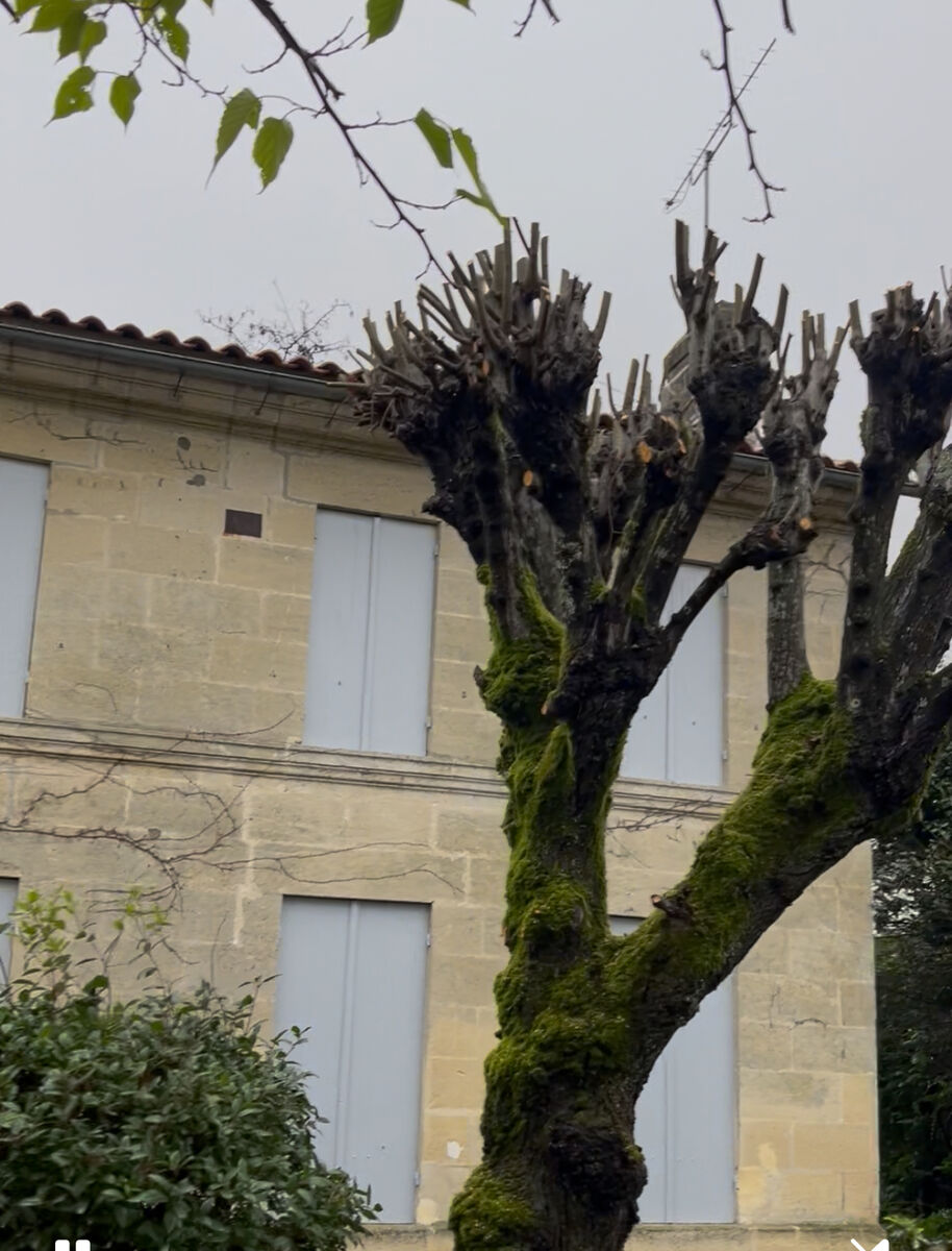 Chantier de l'artisan