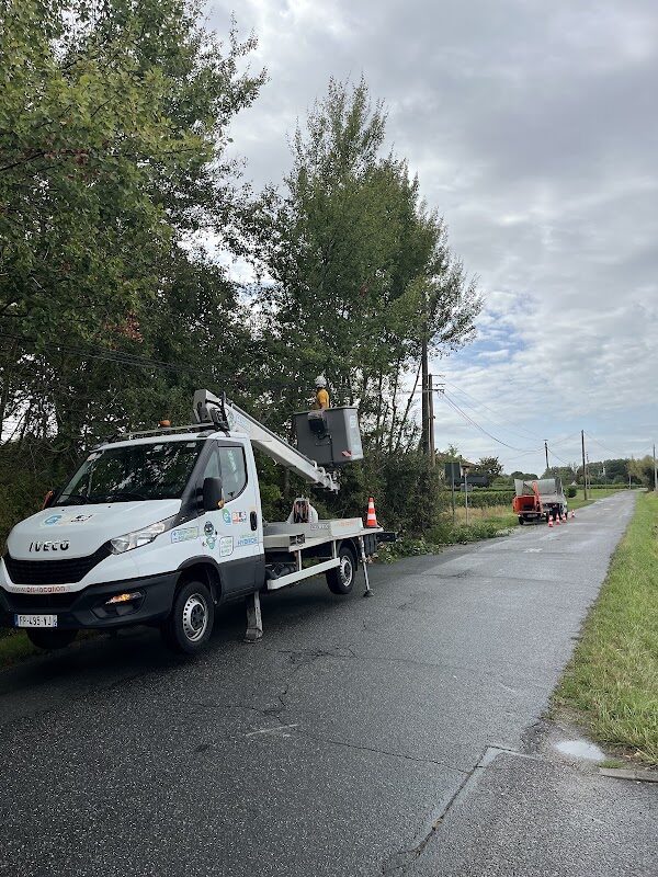 Abattage d'arbre dangereux en toute sécurité