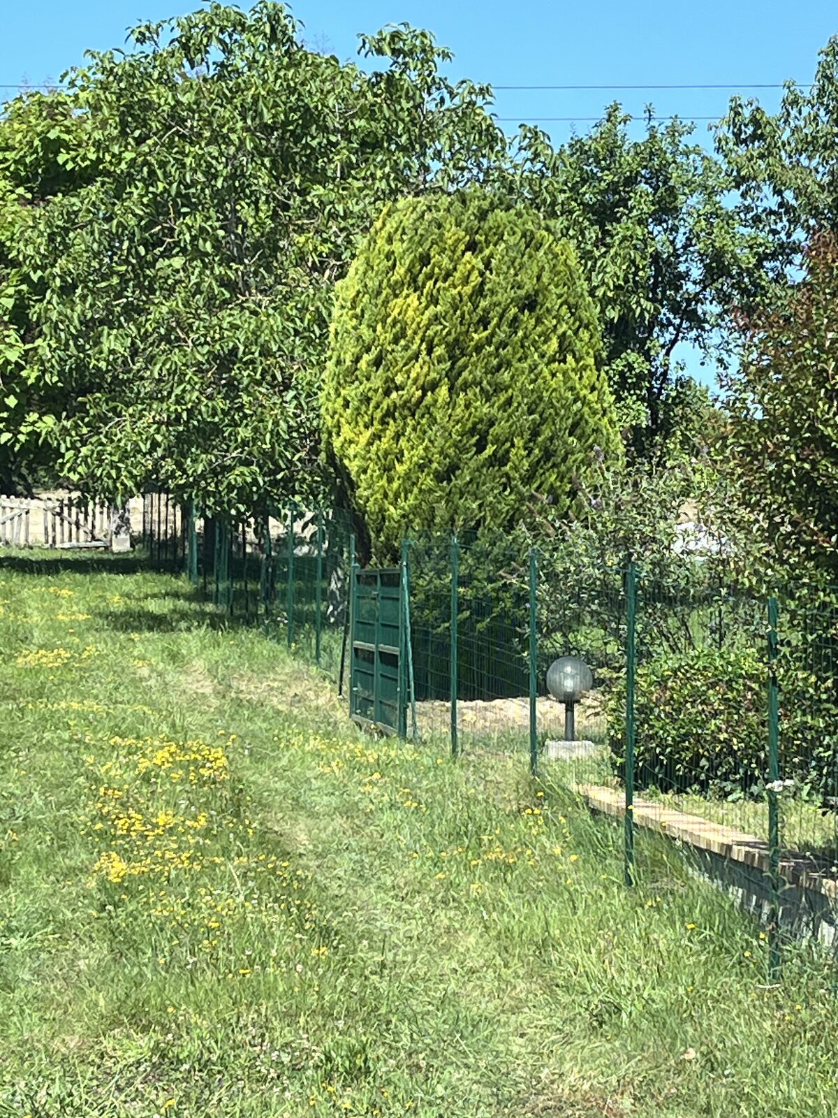 Création et aménagement de jardin paysager